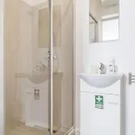 Tanoeiros